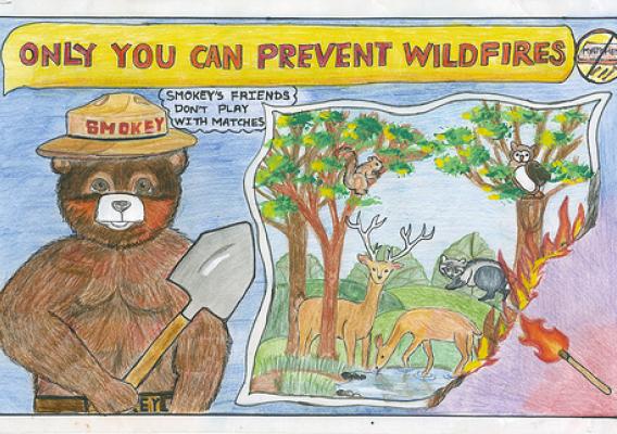 On Mary 27, Vaibhavi Patankar of Woodland Hills, Calif., was named the top winner in the 2011 Smokey Bear & Woodsy Owl Poster Contest. 