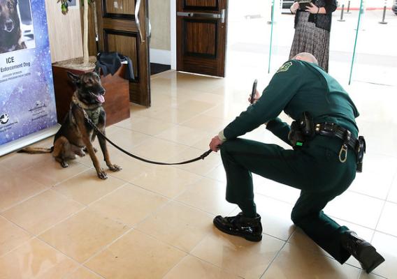 Ice with his handler Patrol Capt. Christopher Magallon during an event