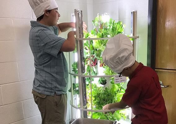 Students at Fred Lynn Middle School tending to hydroponically-grown lettuce