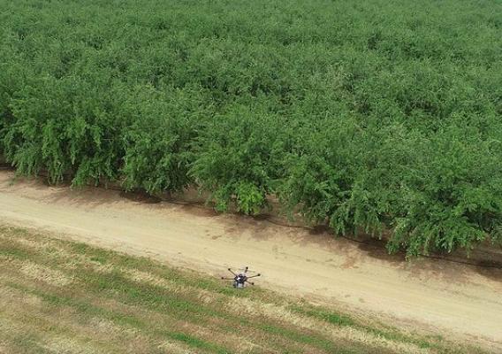 A drone used to map orchards and deter birds that damage crops
