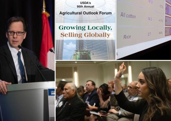 A collage of the USDA Ag Outlook Forum