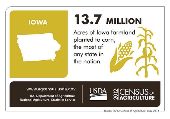 Farmers in The Hawkeye State produced more than $17.3 billion worth of crops in 2012 and lead the nation in acres planted to corn. Check back next Thursday as we take a look at another state and the 2012 Census of Agriculture.  
