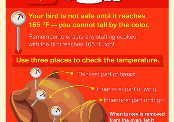 Your bird is not safe until it reaches 165 ˚F – you cannot tell by the color. Remember to ensure any stuffing cooked with the bird reaches 165 ˚F, too! Use three places to check the temperature: the thickest part of the breast, the innermost part of the wing, and the innermost part of the thigh. When the turkey is removed from the oven, let it stand for 20 minutes before carving to allow the juices to settle.