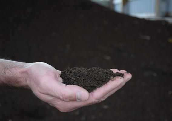 After composting, the leftover animal materials and waste are no longer recognizable. Instead, they become healthy, organic fertilizer. NRCS photo courtesy Analia Bertucci.