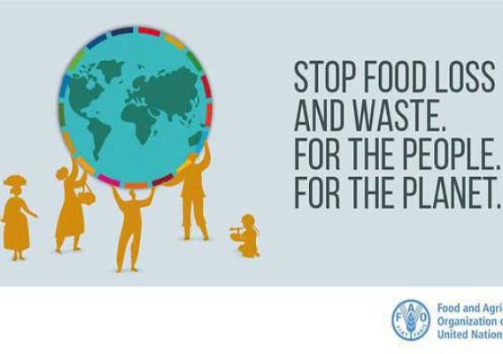 Food and Agriculture Organization of the United Nations Food Loss and Waste graphic