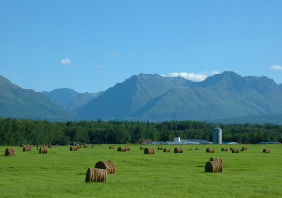 Mountains and hay bales in Alaska