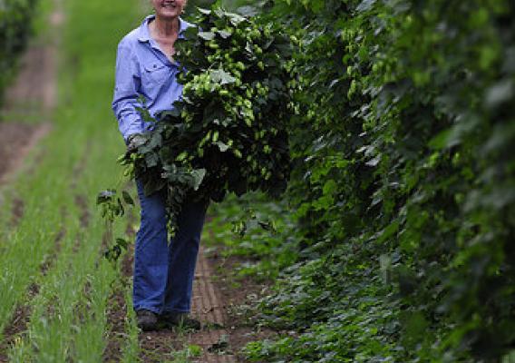 Gayle Goschie, a third generation Oregon farmer at Goschie Farms, Inc., standing in a hop yard