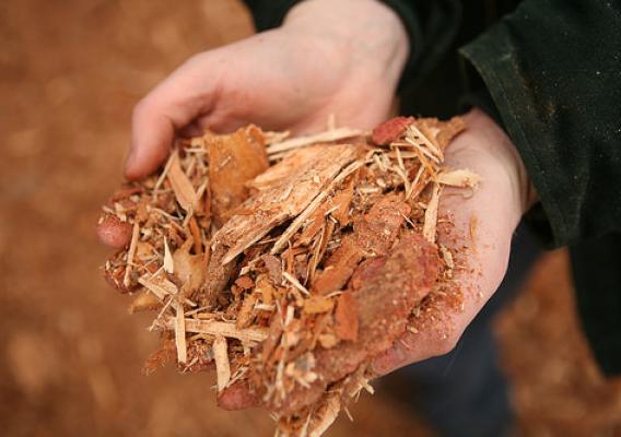 A $39.6 million grant from USDA’s National Institute of Food and Agriculture is helping turn forest byproducts into biofuel.  (Courtesy of NARA)