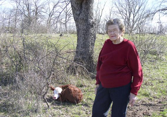 A new calf, new life on the ranch, is reason for Annie Woodson, 100, to step out into the pasture and the Texas sunshine.