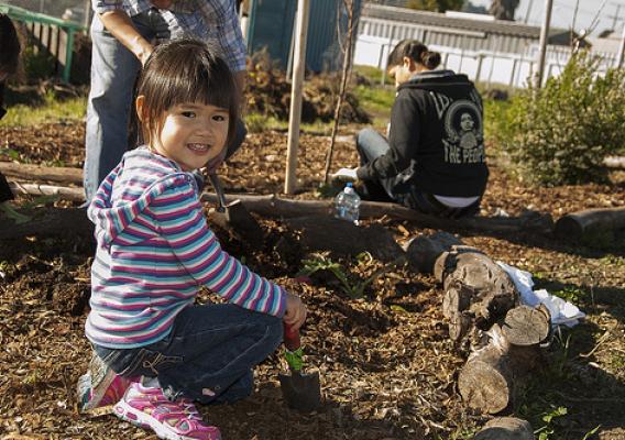 Maya Kwok, 3, helps during a planting project at the Richmond, Calif., Edible Forest as part of the Martin Luther King Jr. Day of Service. Maya is the daughter of Alfred Kwok, director of operations for the U.S. Forest Service’s Pacific Southwest Research Station. (US Forest Service photo)
