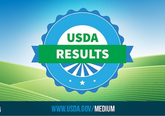 USDA Results tile